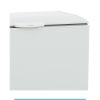 Imagem de Freezer Horizontal GHBS 310 Dupla Ação 1 Porta Gelopar 